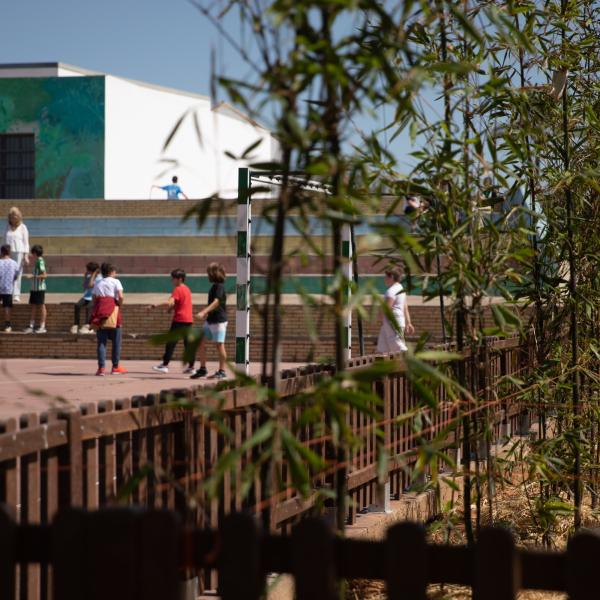 Sombra natural con bambú en los colegios de Mairena del Aljarafe